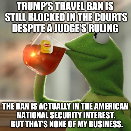 But That's None Of My Business Meme | TRUMP'S TRAVEL BAN IS STILL BLOCKED IN THE COURTS DESPITE A JUDGE'S RULING; THE BAN IS ACTUALLY IN THE AMERICAN NATIONAL SECURITY INTEREST.  BUT THAT'S NONE OF MY BUSINESS. | image tagged in memes,but thats none of my business,kermit the frog | made w/ Imgflip meme maker