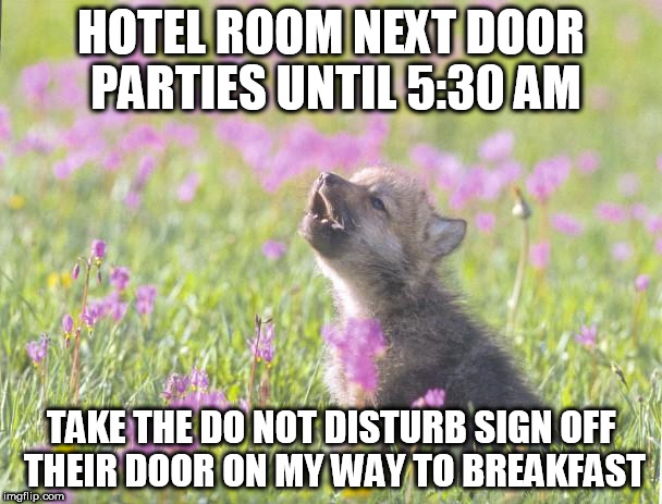 Baby Insanity Wolf Meme | HOTEL ROOM NEXT DOOR PARTIES UNTIL 5:30 AM; TAKE THE DO NOT DISTURB SIGN OFF THEIR DOOR ON MY WAY TO BREAKFAST | image tagged in memes,baby insanity wolf | made w/ Imgflip meme maker