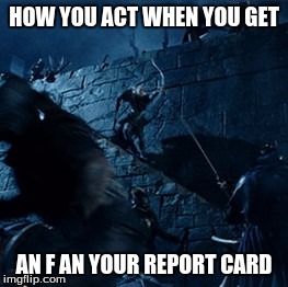 legolas shield surfing | HOW YOU ACT WHEN YOU GET; AN F AN YOUR REPORT CARD | image tagged in legolas shield surfing | made w/ Imgflip meme maker