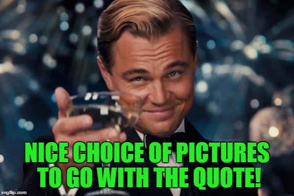 Leonardo Dicaprio Cheers Meme | NICE CHOICE OF PICTURES TO GO WITH THE QUOTE! | image tagged in memes,leonardo dicaprio cheers | made w/ Imgflip meme maker