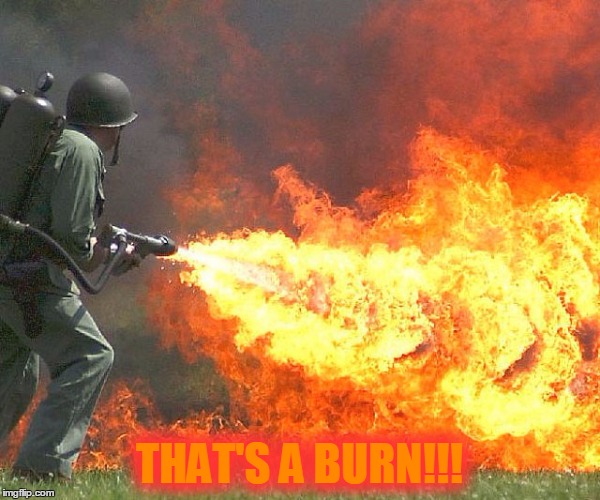 Flamethrower | THAT'S A BURN!!! | image tagged in flamethrower | made w/ Imgflip meme maker