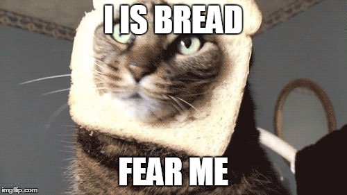 I IS BREAD; FEAR ME | image tagged in bread | made w/ Imgflip meme maker