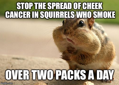 STOP THE SPREAD OF CHEEK CANCER IN SQUIRRELS WHO SMOKE OVER TWO PACKS A DAY | made w/ Imgflip meme maker