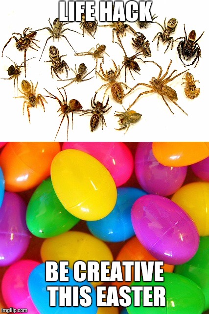 Easter spiders | LIFE HACK; BE CREATIVE THIS EASTER | image tagged in happy easter | made w/ Imgflip meme maker
