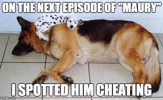 SPOTTED CHEATING | ON THE NEXT EPISODE OF "MAURY"; I SPOTTED HIM CHEATING | image tagged in funny | made w/ Imgflip meme maker