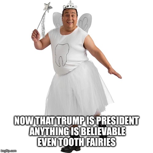 NOW THAT TRUMP IS PRESIDENT ANYTHING IS BELIEVABLE EVEN TOOTH FAIRIES | made w/ Imgflip meme maker