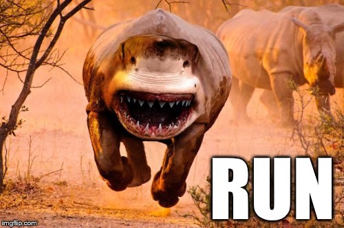 Rino Shark | RUN | image tagged in rino shark | made w/ Imgflip meme maker