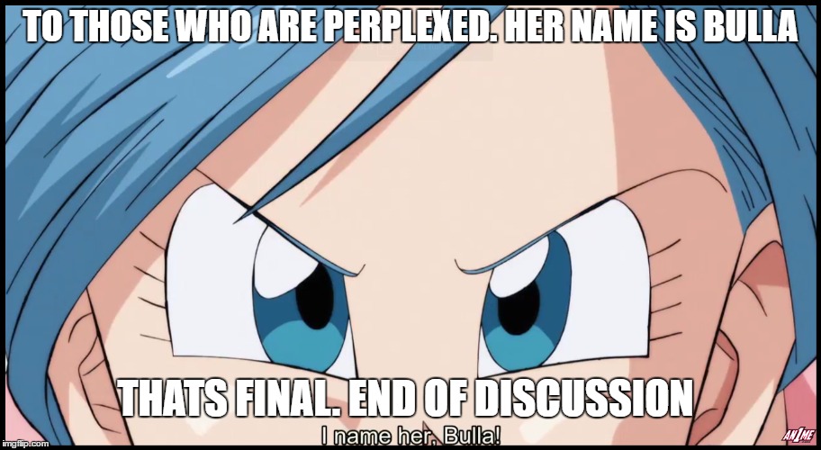 Bulla is her name! Remember that. | TO THOSE WHO ARE PERPLEXED. HER NAME IS BULLA; THATS FINAL. END OF DISCUSSION | image tagged in bulma,whis,lord beerus,goku,gohan,vegeta | made w/ Imgflip meme maker