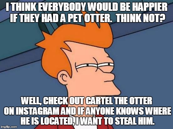 Futurama Fry | I THINK EVERYBODY WOULD BE HAPPIER IF THEY HAD A PET OTTER.  THINK NOT? WELL, CHECK OUT CARTEL THE OTTER ON INSTAGRAM AND IF ANYONE KNOWS WHERE HE IS LOCATED, I WANT TO STEAL HIM. | image tagged in memes,futurama fry | made w/ Imgflip meme maker