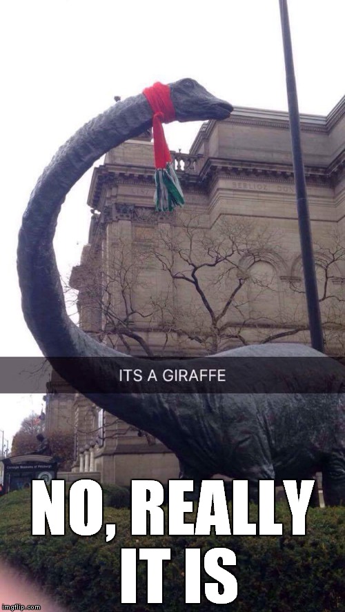 Its a girrafe | NO, REALLY IT IS | image tagged in memes | made w/ Imgflip meme maker