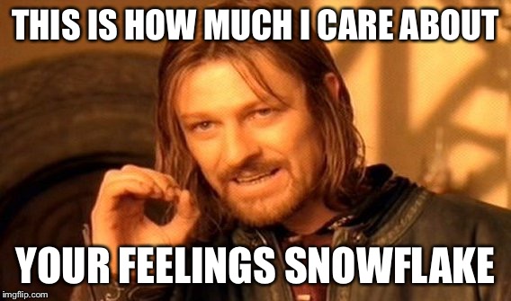 One Does Not Simply | THIS IS HOW MUCH I CARE ABOUT; YOUR FEELINGS SNOWFLAKE | image tagged in memes,one does not simply | made w/ Imgflip meme maker