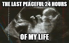 I think that's the same for everyone | THE LAST PEACEFUL 24 HOURS; OF MY LIFE | image tagged in memes,funny memes,funny meme,funny,too funny | made w/ Imgflip meme maker