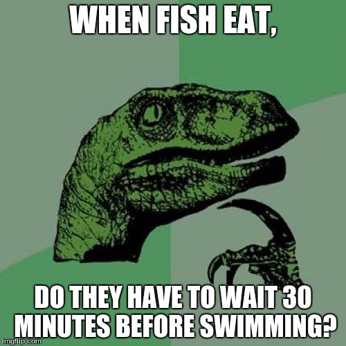30 minutes, 40 minutes, potato, patata, same thing | WHEN FISH EAT, DO THEY HAVE TO WAIT 30 MINUTES BEFORE SWIMMING? | image tagged in memes,philosoraptor | made w/ Imgflip meme maker