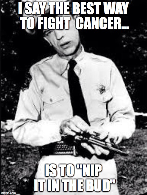 Barney fife | I SAY THE BEST WAY TO FIGHT  CANCER... IS TO "NIP IT IN THE BUD" | image tagged in barney fife | made w/ Imgflip meme maker