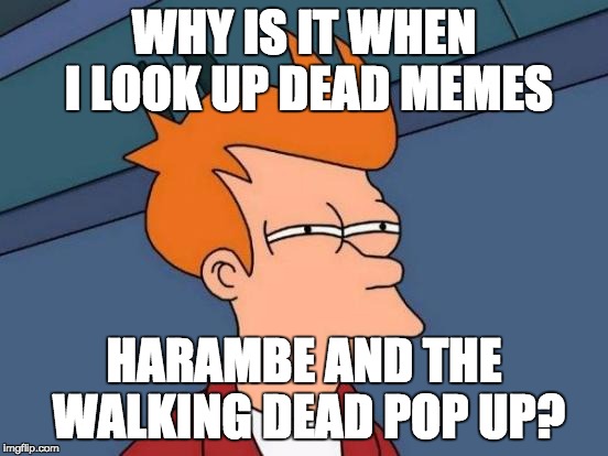 Futurama Fry | WHY IS IT WHEN I LOOK UP DEAD MEMES; HARAMBE AND THE WALKING DEAD POP UP? | image tagged in memes,futurama fry | made w/ Imgflip meme maker