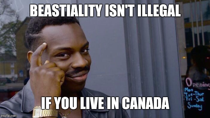 Roll Safe Think About It | BEASTIALITY ISN'T ILLEGAL; IF YOU LIVE IN CANADA | image tagged in roll safe think about it | made w/ Imgflip meme maker