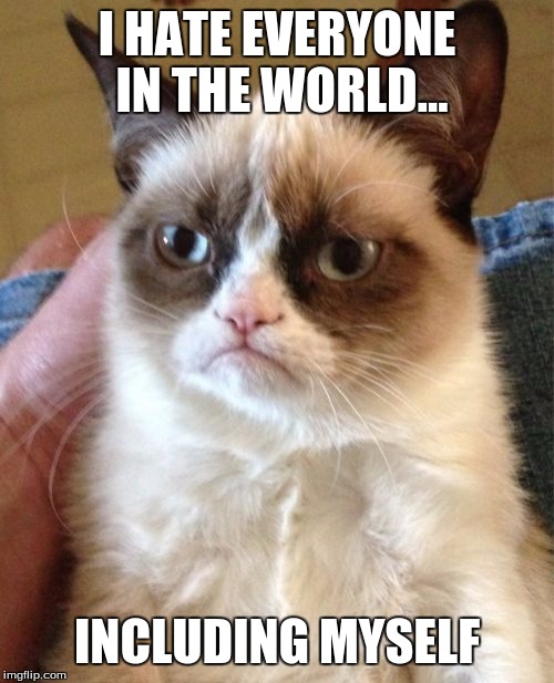 Grumpy Cat Meme | I HATE EVERYONE IN THE WORLD... INCLUDING MYSELF | image tagged in memes,grumpy cat | made w/ Imgflip meme maker