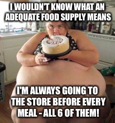 I WOULDN'T KNOW WHAT AN ADEQUATE FOOD SUPPLY MEANS I'M ALWAYS GOING TO THE STORE BEFORE EVERY MEAL - ALL 6 OF THEM! | made w/ Imgflip meme maker