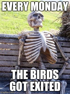 Waiting Skeleton Meme | EVERY MONDAY; THE BIRDS GOT EXITED | image tagged in memes,waiting skeleton | made w/ Imgflip meme maker