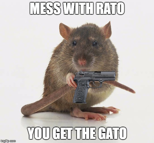 Mess with rato you get the gato | MESS WITH RATO; YOU GET THE GATO | image tagged in mess,with,rato,you get the gato,gat,meme | made w/ Imgflip meme maker