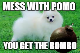 Mess with pomo you get the bombo | MESS WITH POMO; YOU GET THE BOMBO | image tagged in mess with pomo,you get the bombo,meme | made w/ Imgflip meme maker