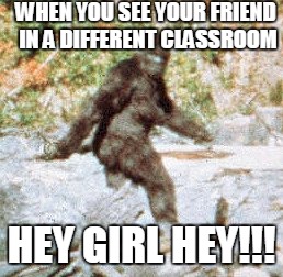 sasquatch | WHEN YOU SEE YOUR FRIEND IN A DIFFERENT CLASSROOM; HEY GIRL HEY!!! | image tagged in sasquatch | made w/ Imgflip meme maker