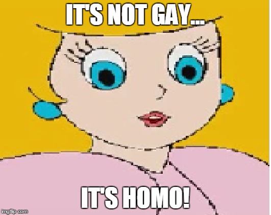 When the people of the internet accuse you. | IT'S NOT GAY... IT'S HOMO! | image tagged in gay | made w/ Imgflip meme maker