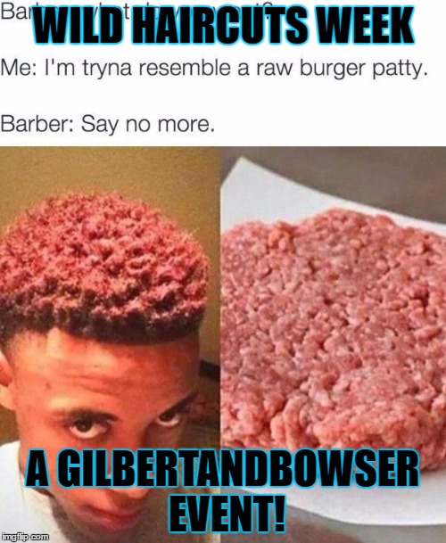 Let the week commence! If you participate, tag me in each meme | WILD HAIRCUTS WEEK; A GILBERTANDBOWSER EVENT! | image tagged in wild hair,memes | made w/ Imgflip meme maker