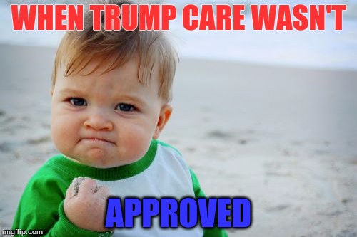 Success Kid Original Meme | WHEN TRUMP CARE WASN'T; APPROVED | image tagged in memes,success kid original | made w/ Imgflip meme maker