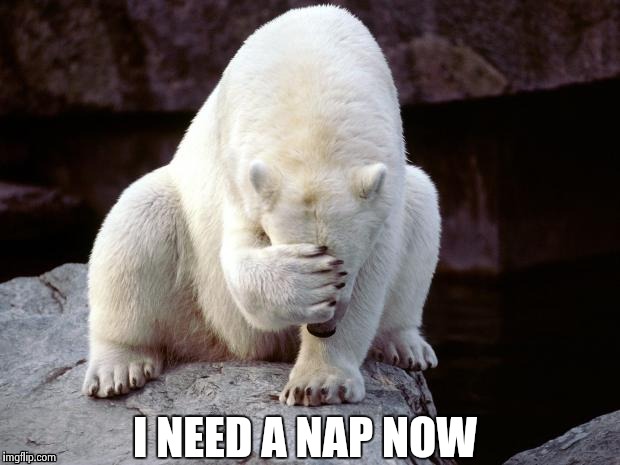 Polar Bear | I NEED A NAP NOW | image tagged in polar bear | made w/ Imgflip meme maker