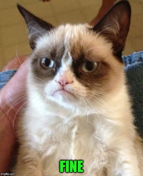 Grumpy Cat Meme | FINE | image tagged in memes,grumpy cat | made w/ Imgflip meme maker