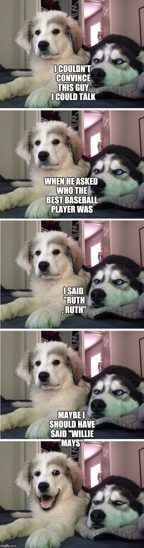 An oldie but goodie | I COULDN'T CONVINCE THIS GUY I COULD TALK; WHEN HE ASKED WHO THE BEST BASEBALL PLAYER WAS; I SAID "RUTH , RUTH"; MAYBE I SHOULD HAVE SAID "WILLIE MAYS" | image tagged in knock knock dogs,jokes | made w/ Imgflip meme maker