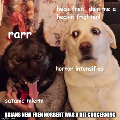 devil doge | BRIANS NEW FREN NORBERT WAS A BIT CONCERNING | image tagged in doge,satanic,evil,doggo,mlerm | made w/ Imgflip meme maker