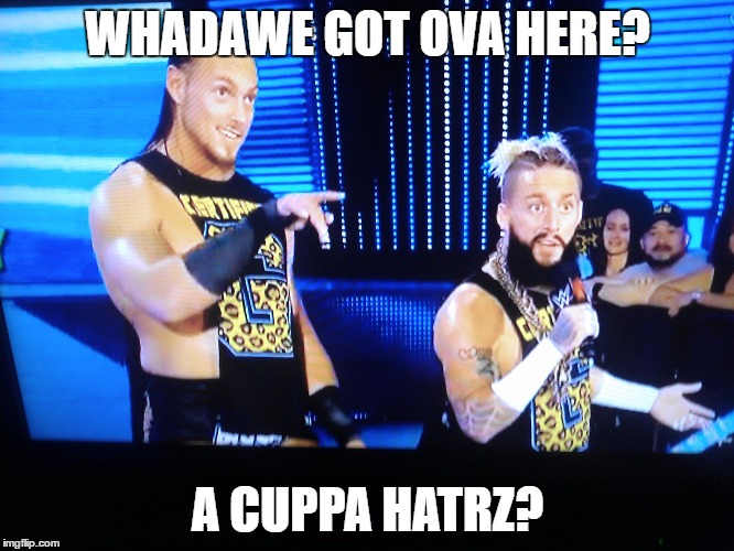 enzo and cass | WHADAWE GOT OVA HERE? A CUPPA HATRZ? | image tagged in enzo and cass | made w/ Imgflip meme maker