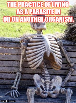 Waiting Skeleton | THE PRACTICE OF LIVING AS A PARASITE IN OR ON ANOTHER ORGANISM. | image tagged in memes,waiting skeleton | made w/ Imgflip meme maker