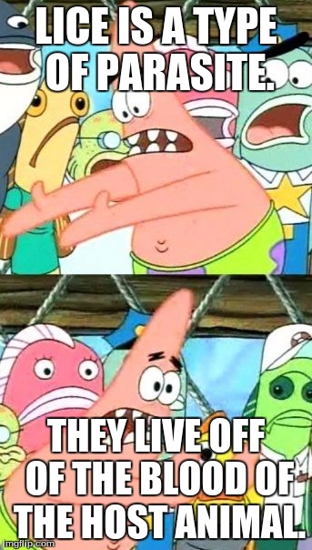 Put It Somewhere Else Patrick | LICE IS A TYPE OF PARASITE. THEY LIVE OFF OF THE BLOOD OF THE HOST ANIMAL. | image tagged in memes,put it somewhere else patrick | made w/ Imgflip meme maker