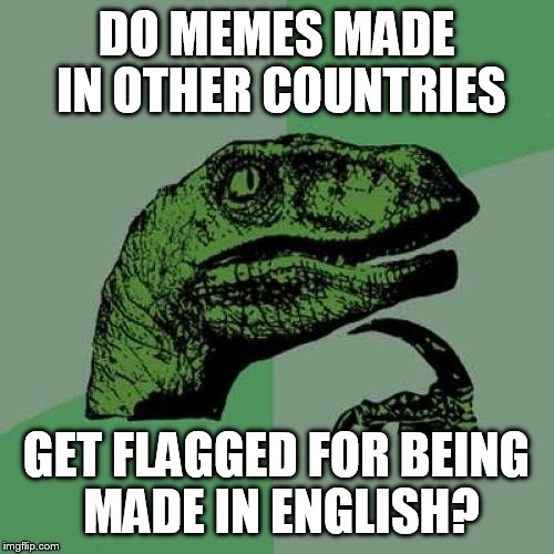 Philosoraptor | DO MEMES MADE IN OTHER COUNTRIES; GET FLAGGED FOR BEING MADE IN ENGLISH? | image tagged in memes,philosoraptor | made w/ Imgflip meme maker