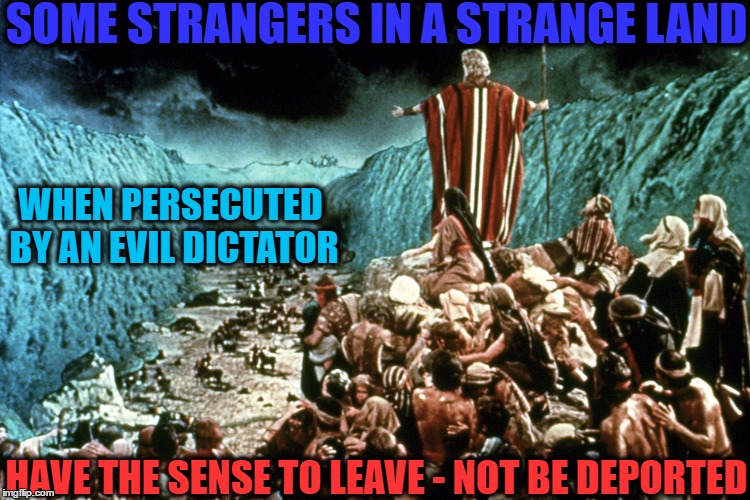 March Out | SOME STRANGERS IN A STRANGE LAND; WHEN PERSECUTED BY AN EVIL DICTATOR; HAVE THE SENSE TO LEAVE - NOT BE DEPORTED | image tagged in moses,trump immigration policy,liberal vs conservative,bigotry,world leaders,protestors | made w/ Imgflip meme maker