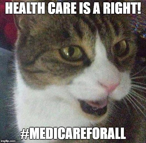 HEALTH CARE IS A RIGHT! #MEDICAREFORALL | image tagged in political opinion cat | made w/ Imgflip meme maker