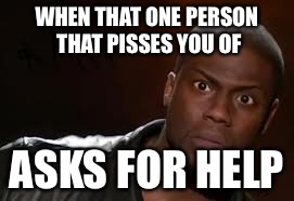 Kevin Hart Meme | WHEN THAT ONE PERSON THAT PISSES YOU OF; ASKS FOR HELP | image tagged in memes,kevin hart the hell | made w/ Imgflip meme maker