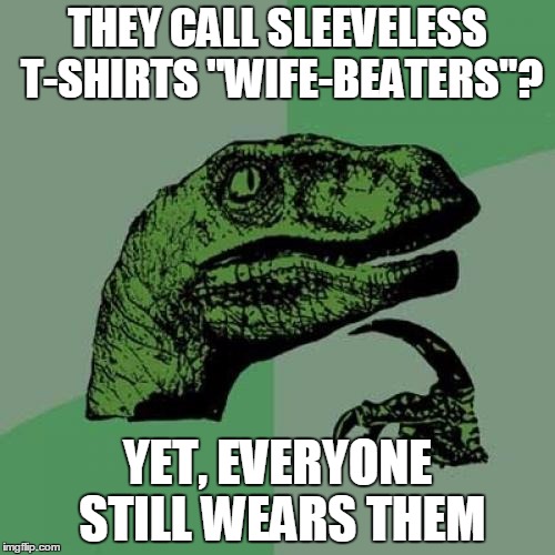Philosoraptor Meme | THEY CALL SLEEVELESS T-SHIRTS "WIFE-BEATERS"? YET, EVERYONE STILL WEARS THEM | image tagged in memes,philosoraptor | made w/ Imgflip meme maker