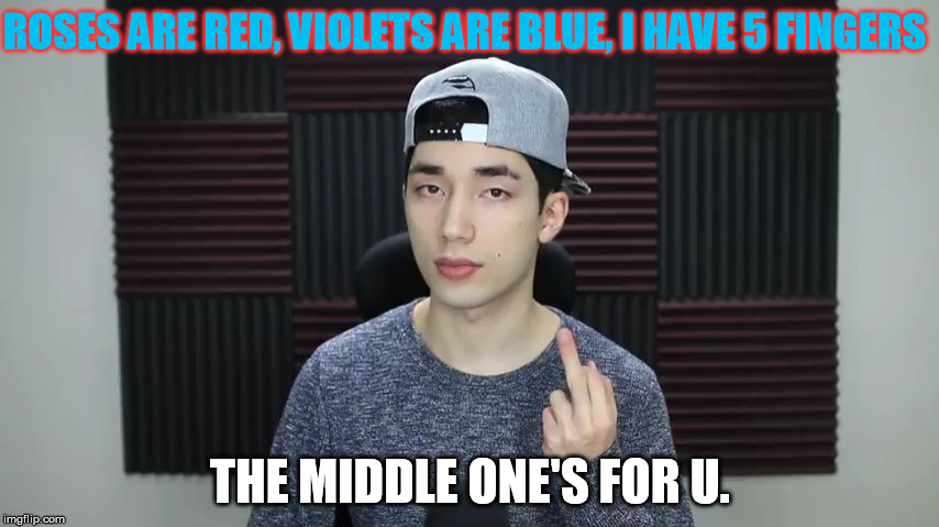 ROSES ARE RED, VIOLETS ARE BLUE, I HAVE 5 FINGERS; THE MIDDLE ONE'S FOR U. | image tagged in funny meme,terrytv | made w/ Imgflip meme maker