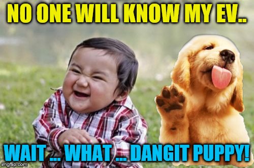 Evil Toddler Meme | NO ONE WILL KNOW MY EV.. WAIT ... WHAT ... DANGIT PUPPY! | image tagged in memes,evil toddler | made w/ Imgflip meme maker