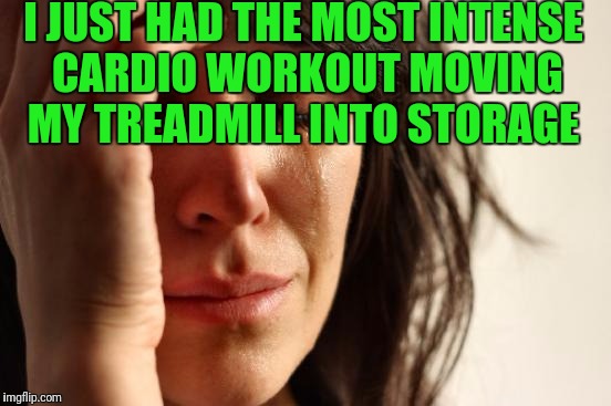 First World Problems Meme |  I JUST HAD THE MOST INTENSE CARDIO WORKOUT MOVING MY TREADMILL INTO STORAGE | image tagged in memes,first world problems | made w/ Imgflip meme maker