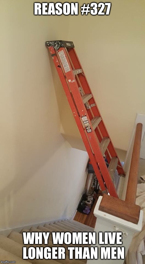 Men and ladders | REASON #327; WHY WOMEN LIVE LONGER THAN MEN | image tagged in men,ladders | made w/ Imgflip meme maker
