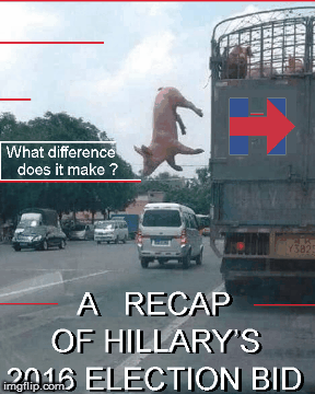 Hillary's 2016 election experience | image tagged in election 2016,funny,funny memes,lol,hillary clinton 2016,donald trump approves | made w/ Imgflip images-to-gif maker