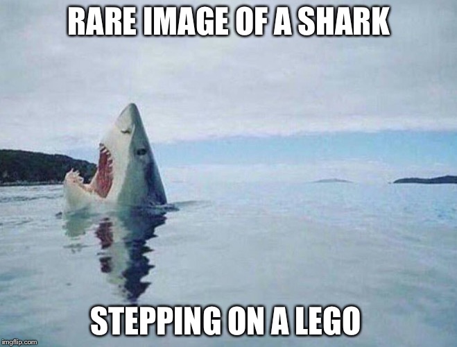 Shark & lego week combo | RARE IMAGE OF A SHARK; STEPPING ON A LEGO | image tagged in shark week | made w/ Imgflip meme maker