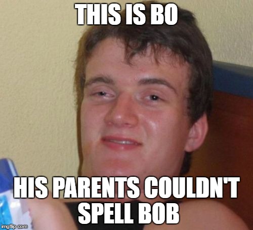 10 Guy Meme | THIS IS BO; HIS PARENTS COULDN'T SPELL BOB | image tagged in memes,10 guy | made w/ Imgflip meme maker