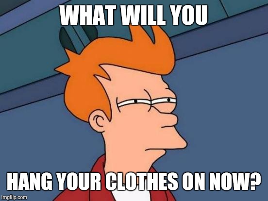 Futurama Fry Meme | WHAT WILL YOU HANG YOUR CLOTHES ON NOW? | image tagged in memes,futurama fry | made w/ Imgflip meme maker