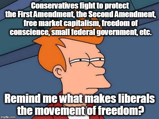 Futurama Fry Meme | Conservatives fight to protect the First Amendment, the Second Amendment, free market capitalism, freedom of conscience, small federal government, etc. Remind me what makes liberals the movement of freedom? | image tagged in memes,futurama fry,conservatives,liberals,liberal vs conservative | made w/ Imgflip meme maker